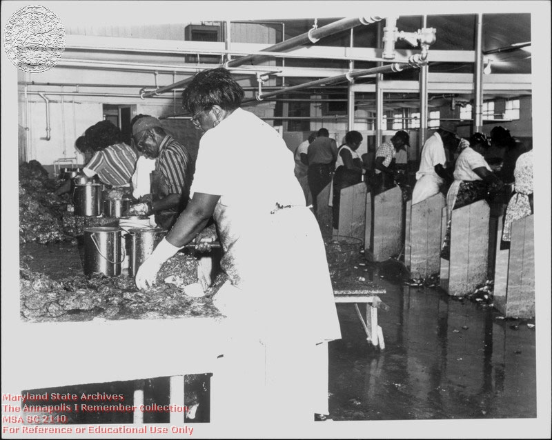 1940-1945 c. Braun, B.L. McNasby's Oyster Company, workers shucking oysters